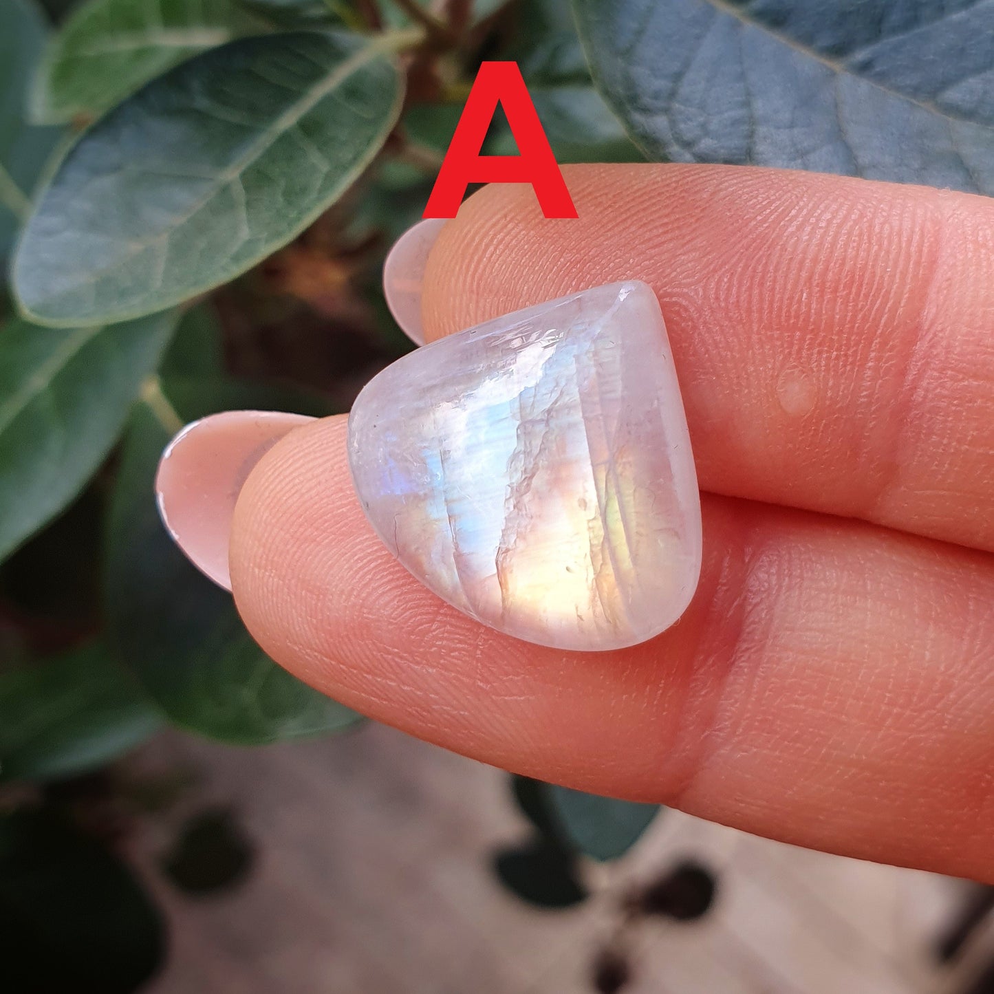 Labradorite bianca taglio goccia