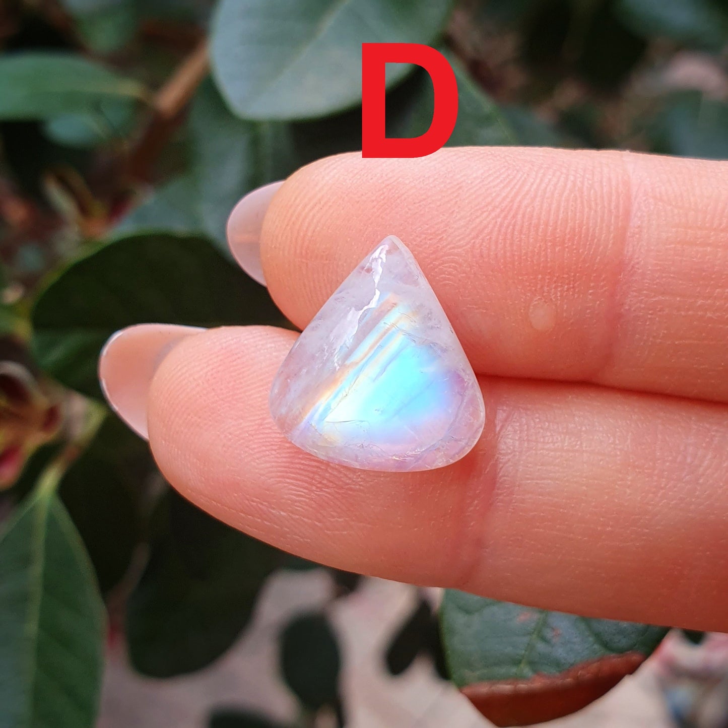 Labradorite bianca taglio goccia
