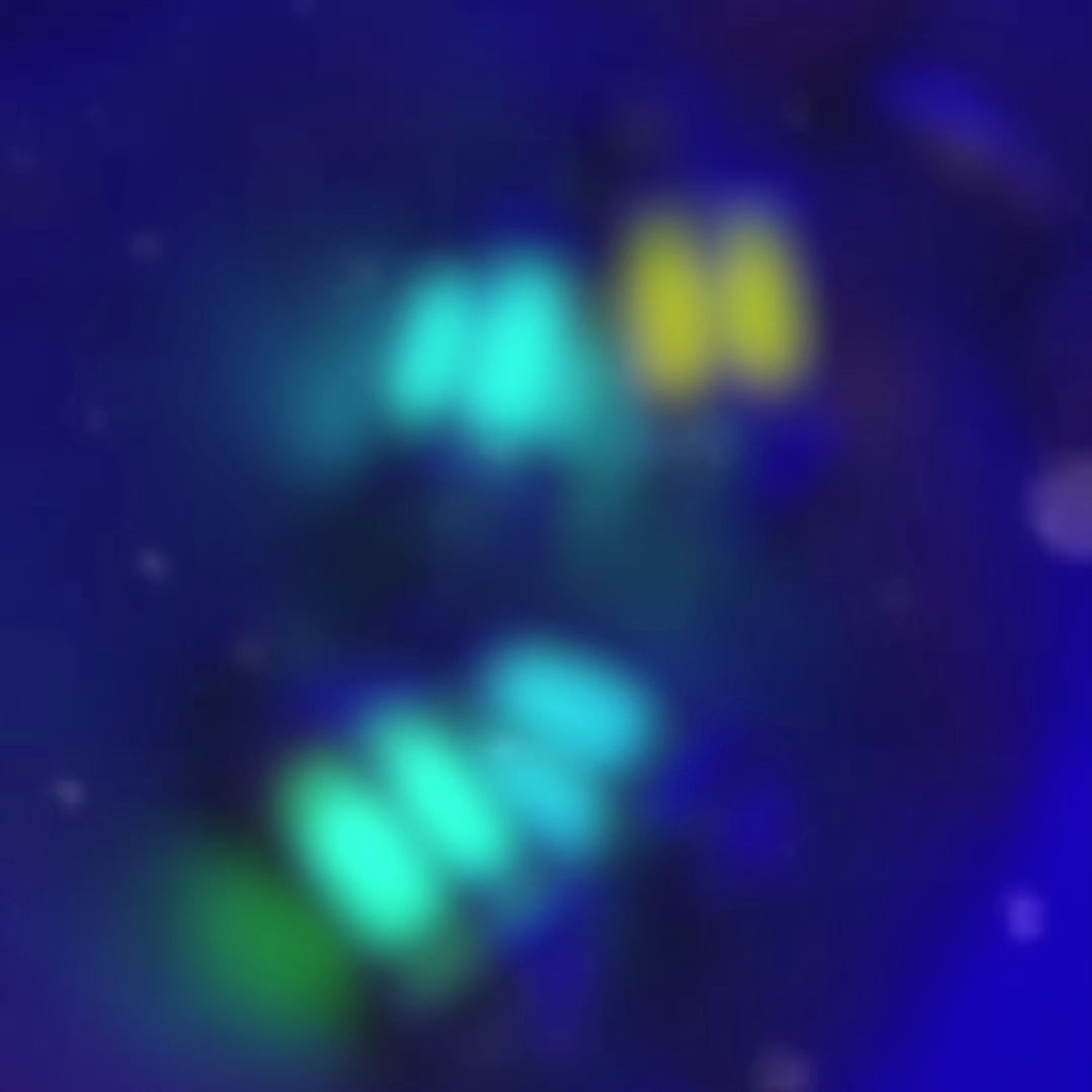 Ciondoli in argento 925 raffiguranti una lanterna, al suo interno materiali luminescenti dai colori blu, azzurro, giallo e verde.